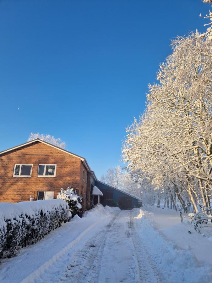 Ferienwohnung Sort Sol Grellsbuelldeich 7 Aventoft Exteriör bild