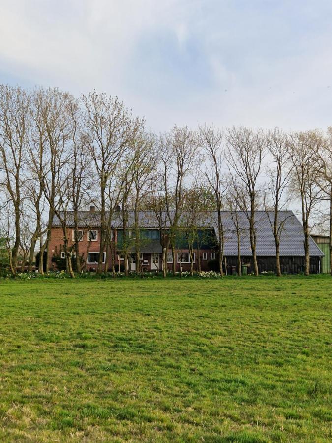 Ferienwohnung Sort Sol Grellsbuelldeich 7 Aventoft Exteriör bild