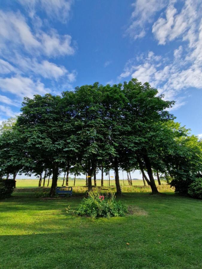 Ferienwohnung Sort Sol Grellsbuelldeich 7 Aventoft Exteriör bild