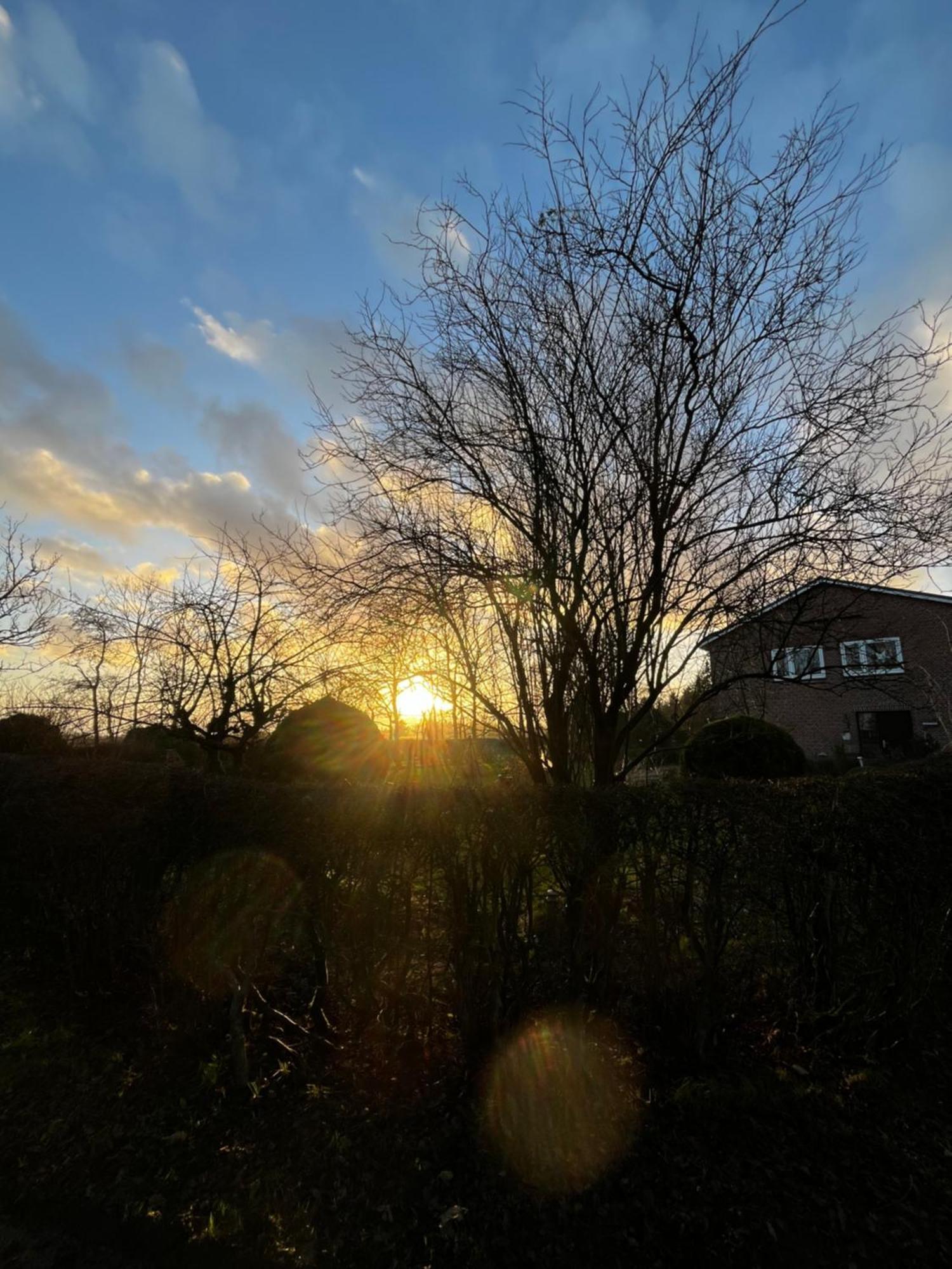 Ferienwohnung Sort Sol Grellsbuelldeich 7 Aventoft Exteriör bild